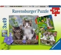 Puzzle 3 x 49 elementów. Kocięta - Ravensburger