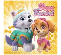 Puzzle 3X49Pcs Paw Patrol Sky & Everest Ravensburger Puzzle Top