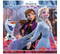 Puzzle 40 Disney Frozen Ii Frame Ravensburger Puzzle Top Quality