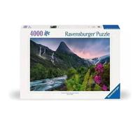 Ravensburger 12000811 Jigsaw puzzle 4000 pc(s) Other