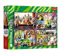 Puzzle 4X250 Funny Animals Trefl Puzzle Top Quality Best