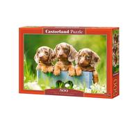 Castorland 500 Piece Jigsaw Puzzles, Cute Dachshunds, Animal Puzzle, Dogs, Puppi