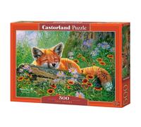 Foxy Dreams