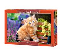 Puzzle 500 Ginger Kitten Castorland Puzzle Top Quality Best