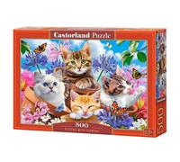 Puzzle 500 elementów. Kociaki z kwiatami - Castorland