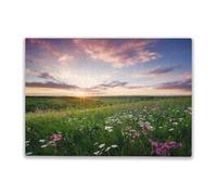 Puzzle 500 Pieces Flowers on The Mountain Field During Sunrise Suitable for Those Who Like Challenging Family Leisure and Entertainment Toys