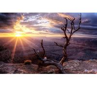 Puzzle Boys 3D Puzzle 1000 Pieces, Natural Beauty, Wood, Arizona, Sunset, Sun, Valley, Grand Canyon 50x70CM