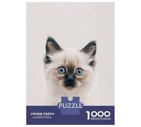 Puzzle for Adults 1000 Pieces Cute Baby Ragdoll Cat Adult Jigsaw Brain Teaser Game Staycation Kill Time Parent-child Interaction 38x26cm/1000pcs