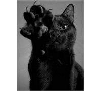 Puzzle for Adults 200 Pieces Wooden Kids Puzzles Black Cat Gift Home Decor Modern Festival DIY Gift Intellectual Game 35x25CM