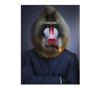 Puzzle for Adults 500 PCS Classy Cool Baboon Adult Puzzles Hands-on Game Precision Cutting Unique Gifts for Birthday And Christmas 500 PCS