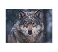 Puzzle for Adults 52x38cm/1000pcs Winter Wolf Portrait Puzzle for Adults Brain Teaser Game Difficult Challenge for Is Ideal As A Gift 52x38cm/1000pcs