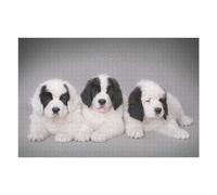 Puzzle for Adults 75x50cm/1000pcs Three Landseer Puppies Jigsaw Puzzle Fun Games Wall Decoration Unique Gifts for Birthday And Christmas 75x50cm/1000pcs