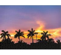Puzzle for Adults Jigsaw Puzzles Hard Challenging Difficult Family Cool Large Beach North Miami Florida View Villas Houses at Beautiful Puzzles for Adults_300pcs