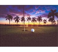 Puzzle for Adults Jigsaw Puzzles Hard Challenging Difficult Family Cool Large Golf Course Golf Golf Tournament Palm Tree West Palm Beach Puzzles for Adults_300pcs