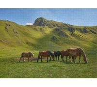 Puzzle for Adults Jigsaw Puzzles Hard Challenging Difficult Family Cool Large Horses Eating The Pastures The Mountains Leon Province Spain Puzzles for Adults_500pcs