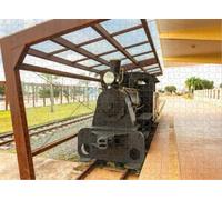 Puzzle for Adults Jigsaw Puzzles Hard Challenging Difficult Family Cool Large Locomotive Puzzles for Adults_1000pcs