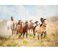 Puzzle for Adults Jigsaw Puzzles Hard Challenging Difficult Family Cool Large Majestic Herd Wild Horses Running The Desert Freedom Bound Away from A Puzzles for Adults_300pcs