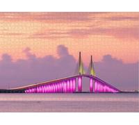 Puzzle for Adults Jigsaw Puzzles Hard Challenging Difficult Family Cool Large Sunshine Skyway Bridge Spanning The Lower Tampa Bay Puzzles for Adults_500pcs