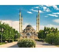 Puzzle for Adults Jigsaw Puzzles Hard Challenging Difficult Family Cool Large The Heart Grozny Russia Puzzles for Adults_500pcs