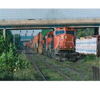 Puzzle for Adults Jigsaw Puzzles Hard Challenging Difficult Family Cool Large Two Red and Black Freight Train Hauling Cargo Puzzles for Adults_500pcs