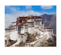 Puzzle for Adults Kids 1000 Piece，Impressive Potala Palace in Tibet, UNESCO World Heritage Site，Toy Educational Games Home Decoration for Adults& Kids Age 14 Years Up 1000pcs（50x70cm）-U40
