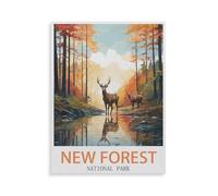 Puzzle for Adults Kids 1000 Piece，New Forest National Park，Toy Educational Games Home Decoration for Adults& Kids Age 14 Years Up 1000pcs（50x70cm）-HE40