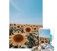 Puzzle for Teenagers 1000 Pieces Sunflower Field Under A Blue Sky Educational Challenge Precision Cutting Practical Game for 14+ Puzzle Game Offered (50x75cm)