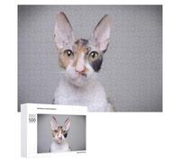 Puzzle for Teenagerss 500 PCS Cornish Rex Cat Adult Puzzles Toy Wall Decor Staycation Kill Time for Birthday, Chrismas 500 PCS