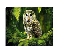 Puzzle Fun 500 Pieces for Adults Green Owl for Players Who Like to Challenge The Difficult and Unlock More Complex Patterns in Hd