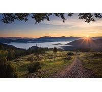 puzzle games jigsaw puzzle 500 pieces,Nature scenery,Sun,Fog,Track,Forest,Carpathian Mountains 52x38CM