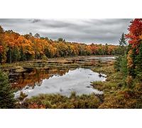 Puzzle Nature 3D Puzzle 1000 Pieces, Natural Beauty, Autumn Reflections, Provincial Parks 38x52CM