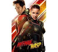 Puzzle with 1000 pieces for adults suitable for the whole family, as an entertainment toy and as a paper puzzle with ant and wasp poster 70x50CM