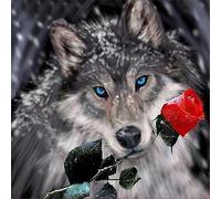 Puzzles 1000 for Adults jigsaw puzzles for adults 1000 Piece Puzzle Home Challenging Educational Games Home Decoration puzzle Gifts (Husky Rose)
