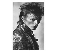 Puzzles 1000 Pieces Adult David Bowie Rock Singer Educational Game Challenge Toy 1000 Pieces Puzzles for Adults Children-26x38cm