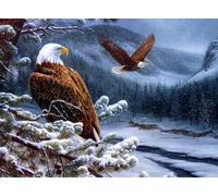 Puzzles 1000 Pieces - Animal Eagless Posters - Irregular Art Jigsaw - Memory Games For The Elderly Gifts - Family Educational Toys Zx153Ap