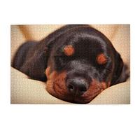 Puzzles 1000 Pieces Doberman Puppy Sleeping Dogs Pets Dogs Doberman Puzzle Toy Family Game Wall Decoration for Adults Teenagers 38x52CM