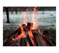 Puzzles 1000 Pieces for Adults -Bonfire,fire,wood 70x50cm