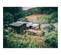 Puzzles 1000 Pieces for Adults -Buildings,forests,trees 70x50cm