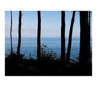 Puzzles 1000 Pieces for Adults -Derevia,bereg,more 70x50cm