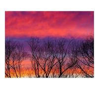 Puzzles 1000 Pieces for Adults -Trees,Sky,Clouds,Dusk,Dark 70x50cm
