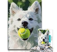 Puzzles 1000 Pieces for Teenagers Samoyed Playing Tennis 1000 Pieces for Teenagers,is Ideal As Gifts for The Whole Family Suitable for And 14 (size 75x50cm)
