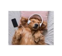 Puzzles 1000 Pieces，Golden retriever music songs，Jigsaw Puzzle Adults Jigsaw Difficulty Puzzles Puzzle Education Games Toys Family Decoration 1000pcs（38x26cm）-I23