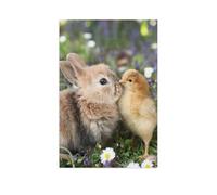 Puzzles 1000 Pieces，Little rabbit and chick，Jigsaw Puzzle Adults Jigsaw Difficulty Puzzles Puzzle Education Games Toys Family Decoration 1000pcs（75x50cm）-AR91