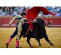 Puzzles 1000 Pieces Spanish Bullfighting Wall Art Poster Wood Adult Toys Decompression Game Gt131Vy 50x70CM