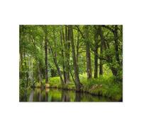 Puzzles 1000 Pieces，The Spreewald，Jigsaw Puzzle Adults Jigsaw Difficulty Puzzles Puzzle Education Games Toys Family Decoration 1000pcs（75x50cm）-Q28