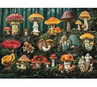 Puzzles 200 Pieces for Adults, Mushroom Jungle Jigsaw Puzzle for Adult, Challenging & Brainteasing puzzle Games, jigsaw puzzles for adults 200 for Home Decor Gifts 13.8 x 9.8 inch