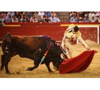 Puzzles 2000 Pieces Spanish Bullfighting Wall Art Poster Adult Toy Decompression Game Gt129Vy 70x100CM