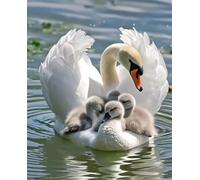 Puzzles 300 Pieces for Adults Animal Swan, Puzzle Games for Adults, Educational Game Decompression, Puzzle for Adult 300 Home Decors Family Challenge Toys for Men Women Elders Seniors