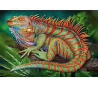 Puzzles 500 Pieces for Adults,20.5x15 inch Jigsaw puzzles for adults Challenging Educational Games Home Decoration Puzzle Theme: Chameleon Animals