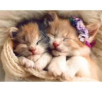 Puzzles 500 Pieces for Adults,20.5x15 inch Jigsaw puzzles for adults Challenging Educational Games Home Decoration Puzzle Theme: Cute Sleeping Cats